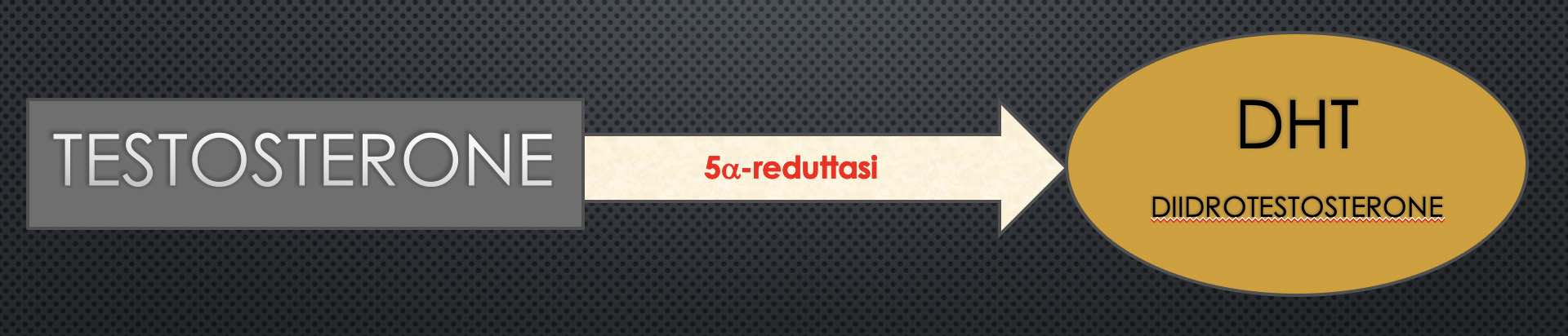 5 alfa reduttasi