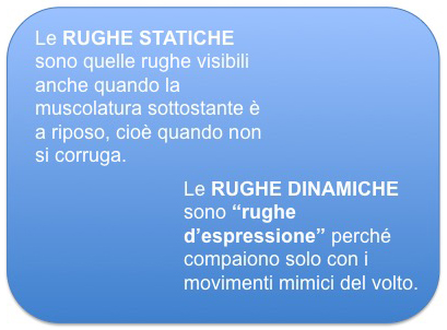 Rughe statiche e dinamiche.jpg