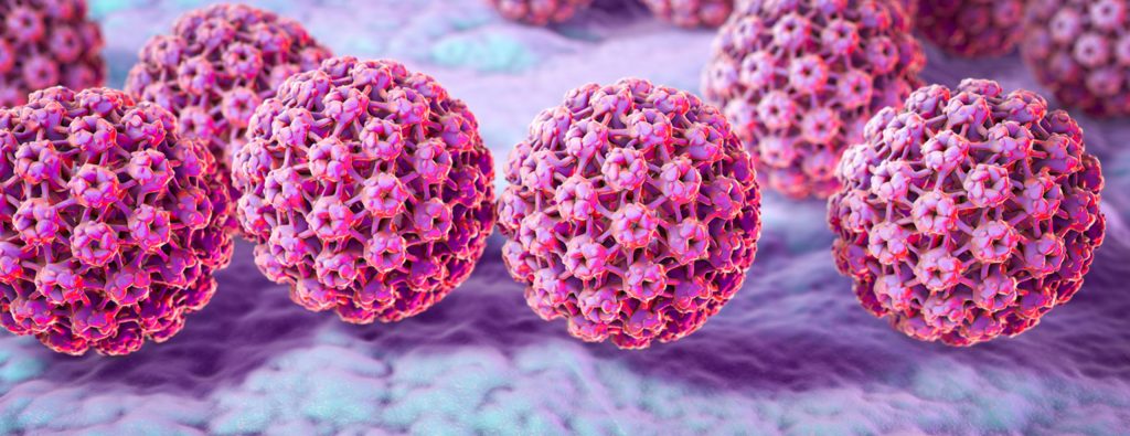HPV Papilloma Virus nell'uomo HPV Papilloma Virus nell'uomo