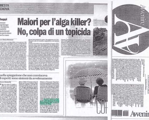 Malori alga killer